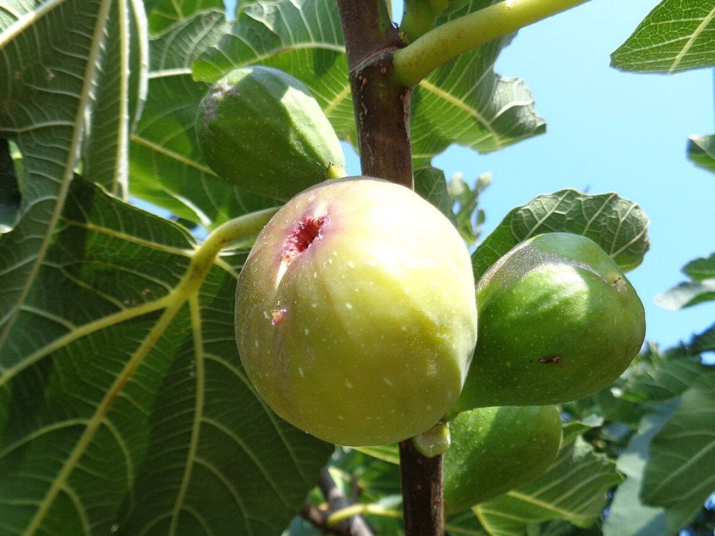 d181d0bcd0bed0bad0b8d0bdd18f