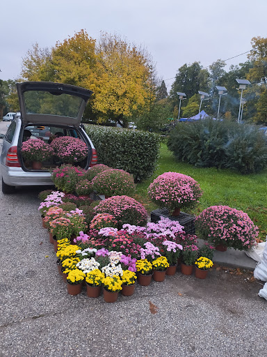 Общински пазар - Панагюрище