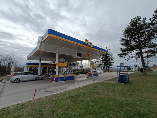 Petrol Perfect - Луковит (4409)