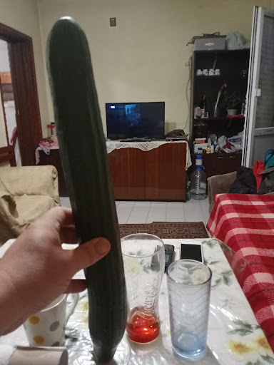 Василев Херба