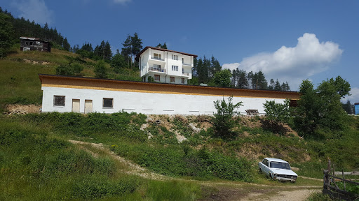 Organic vegetables Rudozem