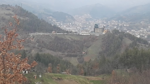 Петрол Неделино