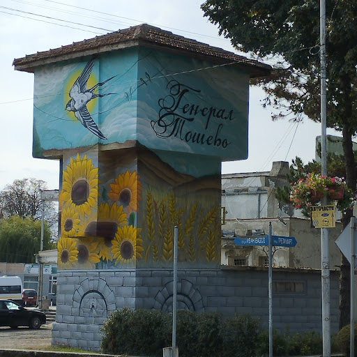 Генерал Тошево
