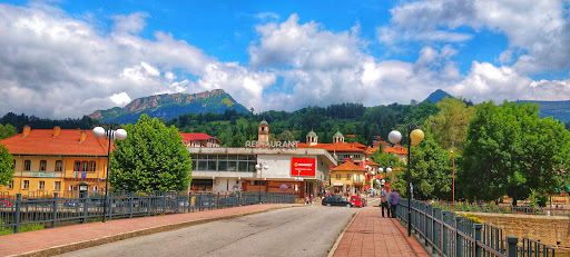 Магазин "Лесидрен"