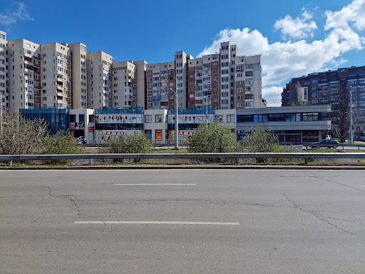 Яна Мол