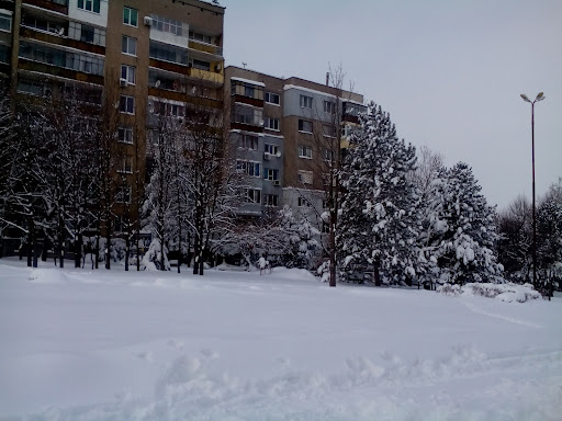 Абритус сити